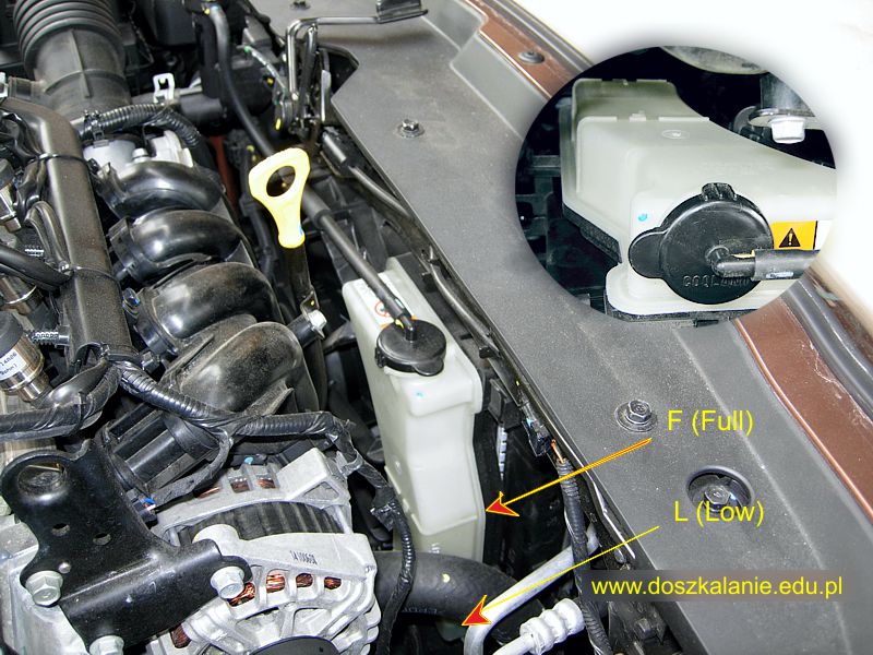 Sprawdzenie płynów w samochodzie egzaminacyjnym Hyundai